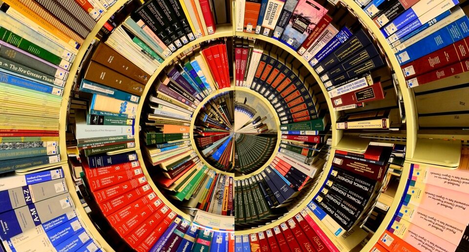 Il CUG dell’Università di Pisa mette a concorso una borsa di ricerca della durata di 12 mesi nell’ambito del Progetto “Ricerca storiografica per la realizzazione di un volume sulla presenza femminile nell’Università di Pisa”
